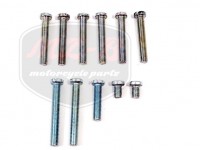 PANNONIA T5 SCHRAUBE SATZ F.MOTORGEHAUSE