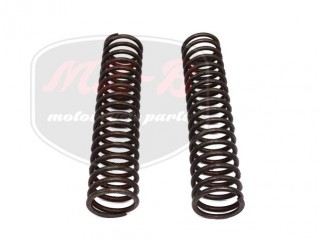 PANNONIA T5/P10 DRUCKFEDER F. VORDERGABEL